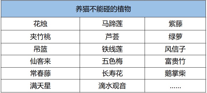 猫咪不能碰的植物